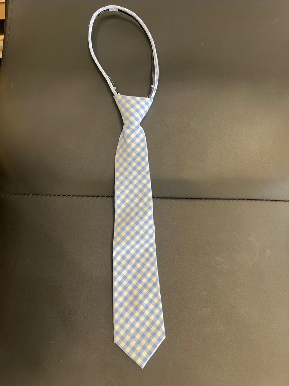Class Club Light Blue and White Gingham Pre-Tied Neck Tie